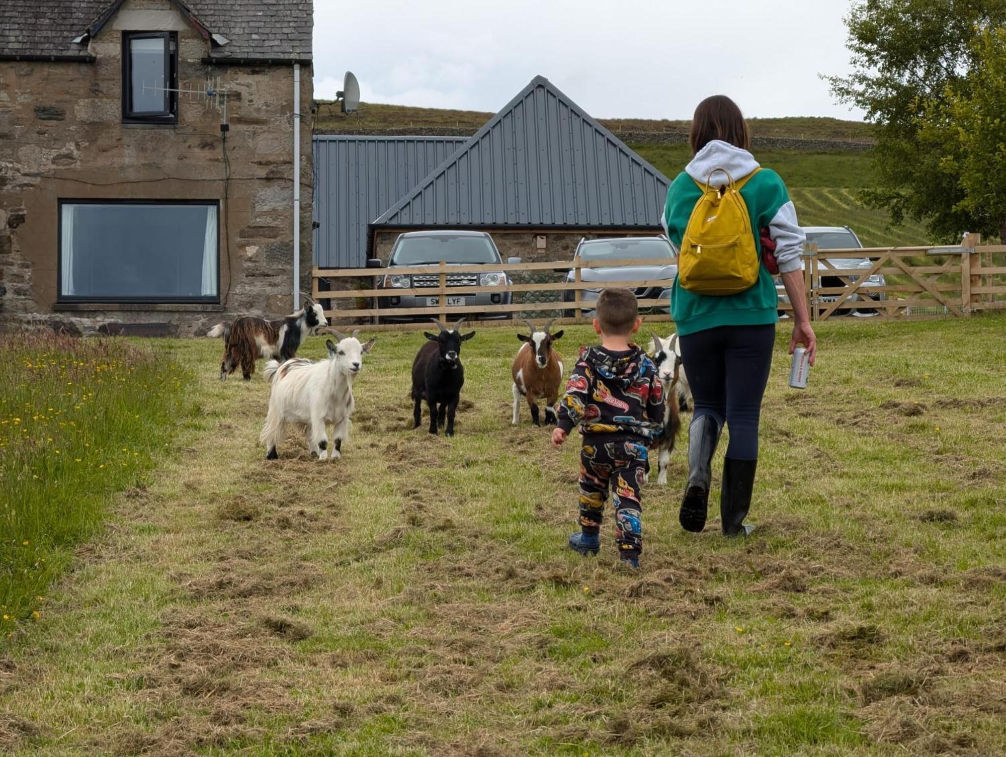 Tomnauld Farm Hotel Pitlochry Exterior photo
